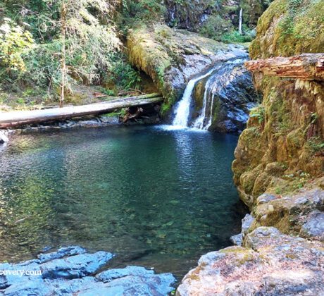 Blue Hole Falls on Brice Creek in Oregon: The picture "Blue Hole Falls waterfall and pool closeup" displays a close view of the waterfall cascading into the iconic deep blue-green pool, with mossy cliffs and fallen logs framing the clear, tranquil water.