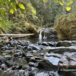Blue Hole Falls on Brice Creek in Oregon: The picture "Blue Hole Falls from downstream view" presents a view upstream with the rocky creek foreground leading to a small waterfall spilling into a rocky pool, surrounded by mossy boulders and dense forest.