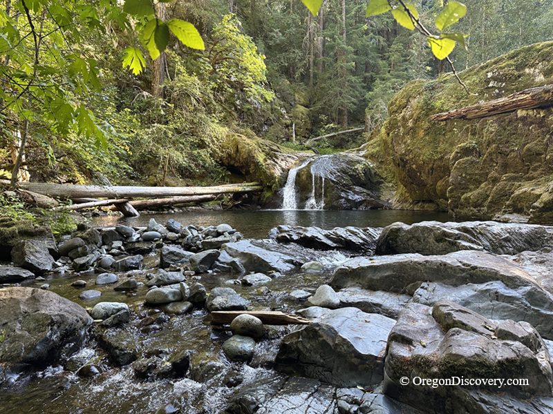 Blue Hole Falls on Brice Creek in Oregon: The picture "Blue Hole Falls from downstream view" presents a view upstream with the rocky creek foreground leading to a small waterfall spilling into a rocky pool, surrounded by mossy boulders and dense forest.