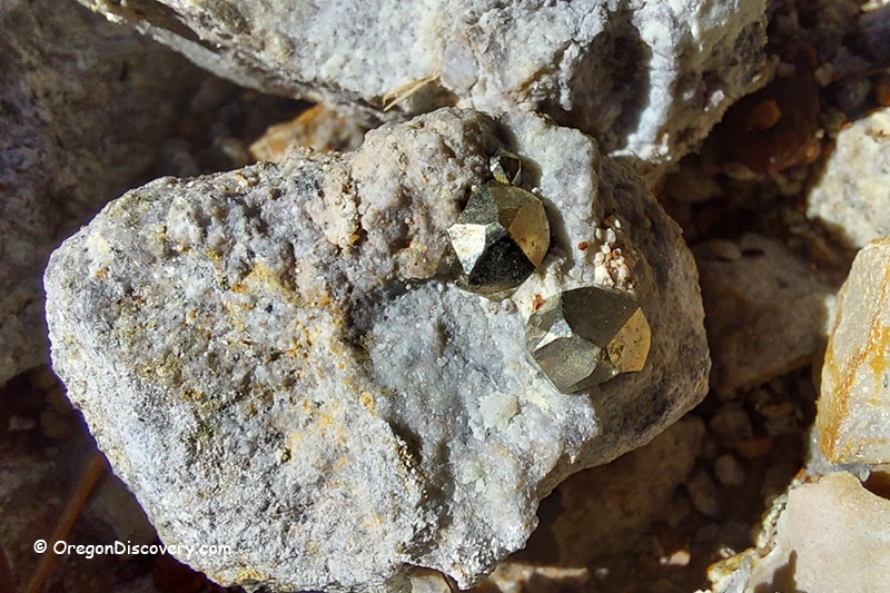 Boulder Creek Pyrite Rockhounding at Quartzville Creek Oregon: The picture "pyrite crystals in quartz matrix close-up" features two bright, metallic pyrite crystals embedded in a rough, pale gray quartz rock, surrounded by clusters of similarly colored stones and gravel.
