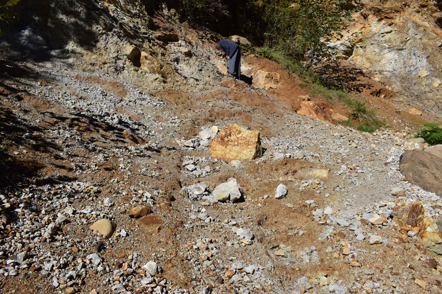Boulder Creek Pyrite Rockhounding at Quartzville Creek Oregon: The picture "collecting pyrite at roadside outcrop" shows a person crouching and searching for minerals on a sunlit, rocky slope covered with loose tan and gray stones and boulders at the base of an exposed cliff.