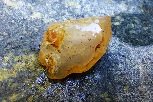 Brice Creek Agate, Umpqua National Forest Oregon