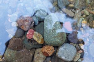 Brice Creek Rockhounding & Gold Panning, Oregon
