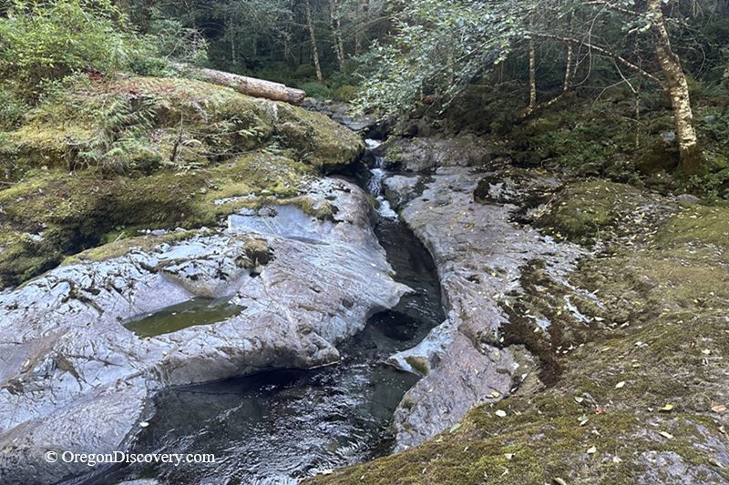 Blue Hole Falls on Brice Creek in Oregon: The picture "Blue Hole Falls smooth bedrock creek" shows a narrow stream flowing through smooth, dark gray bedrock surrounded by moss and ferns, nestled in a lush forest.