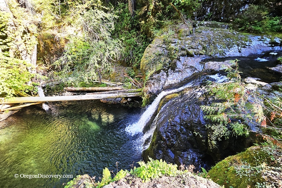 Blue Hole Falls on Brice Creek in Oregon: The picture "Blue Hole Falls waterfall and pool closeup" displays a close view of the waterfall cascading into the iconic deep blue-green pool, with mossy cliffs and fallen logs framing the clear, tranquil water.