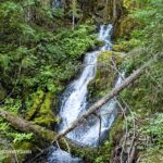 Evergreen Falls, Brice Creek Area, Oregon