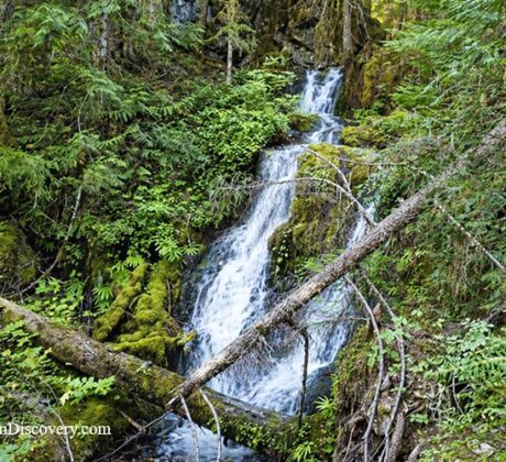 Evergreen Falls, Brice Creek Area, Oregon