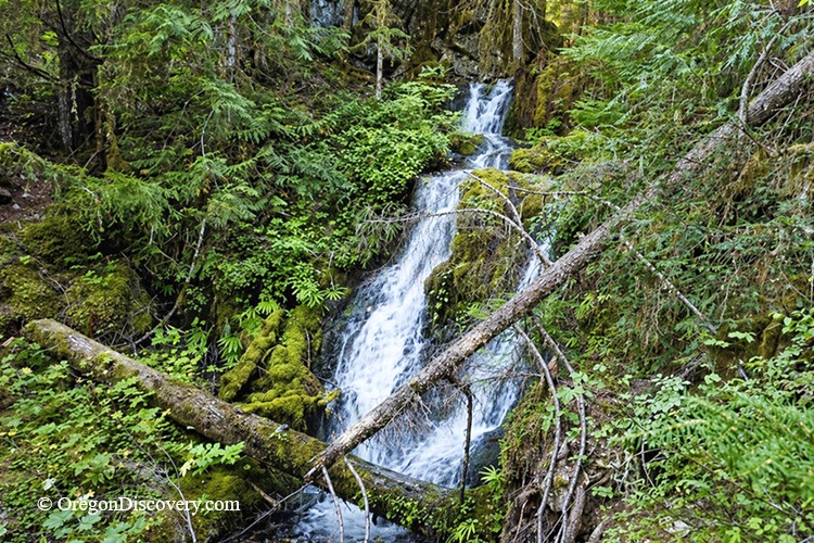 Evergreen Falls, Brice Creek Area, Oregon
