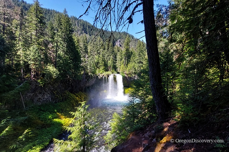 Koosah Falls in Oregon: The picture "Koosah Falls framed by evergreens" captures the waterfall plunging into a pool, viewed between vibrant green evergreen trees, with forested hills rising in the background under a clear, blue sky.