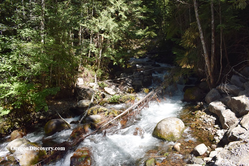 North Santiam River Rockhounding in Oregon: The picture "forest stream with boulders" shows a rushing, clear stream flowing over large rounded boulders in a forested area, surrounded by dense green trees.