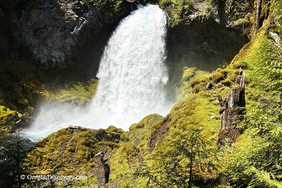 Sahalie Falls in Oregon: The picture "Sahalie Falls waterfall with hiker below" captures the wide and powerful waterfall tumbling over a cliff into a rocky, moss-covered gorge, with a lone hiker in the foreground for scale, surrounded by vibrant green foliage.