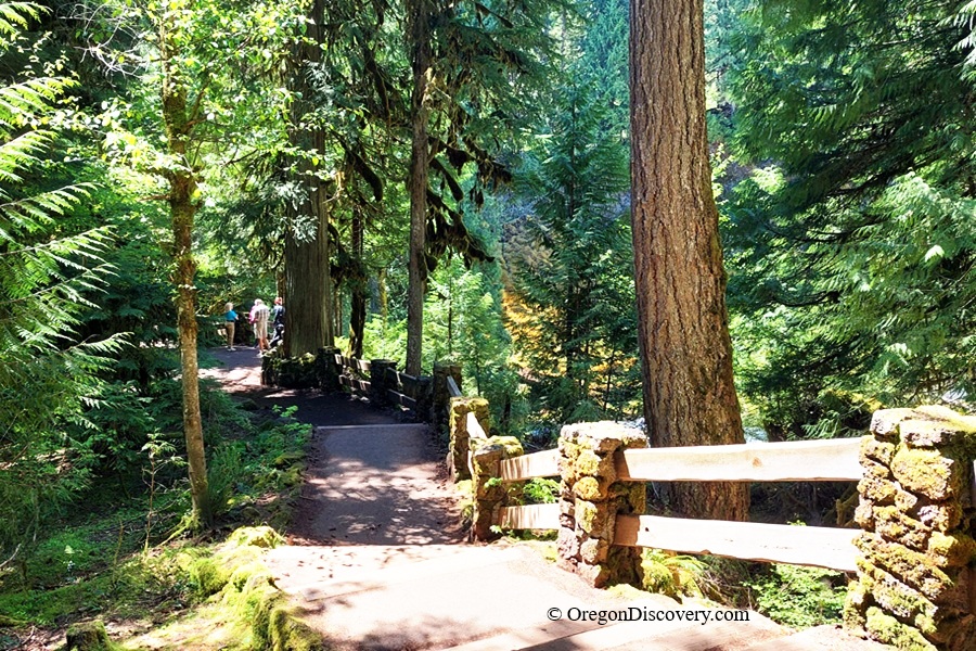 Sahalie Falls in Oregon: The picture "Sahalie Falls paved overlook trail" shows a paved hiking path with a mossy stone and wooden fence, leading through a lush green forest toward an overlook area where several people are gathered in the distance.