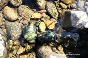 North Santiam River Rockhounding in Oregon: The picture "green jasper and river stones" shows a close-up of smooth river rocks underwater, including shiny green jasper stones and pieces of orange and brown rock.