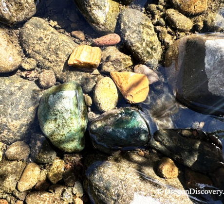 North Santiam River Rockhounding in Oregon: The picture "green jasper and river stones" shows a close-up of smooth river rocks underwater, including shiny green jasper stones and pieces of orange and brown rock.