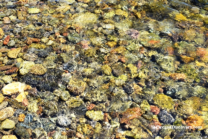 North Santiam River Rockhounding in Oregon: The picture "colorful river gravel underwater" is a close-up view of various multicolored rocks and gravel on the riverbed, visible through the shallow, clear water.