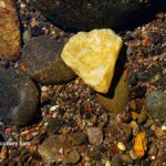 Thomas Creek Rockhounding in Oregon: The picture "yellow agate underwater" features a heart-shaped yellow agate stone resting among darker, rounded rocks and multi-colored gravel on the creek bed, all visible through clear water.