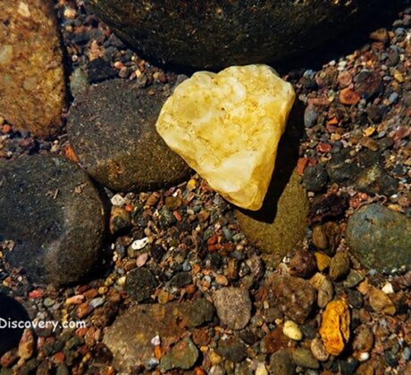 Thomas Creek Rockhounding in Oregon: The picture "yellow agate underwater" features a heart-shaped yellow agate stone resting among darker, rounded rocks and multi-colored gravel on the creek bed, all visible through clear water.