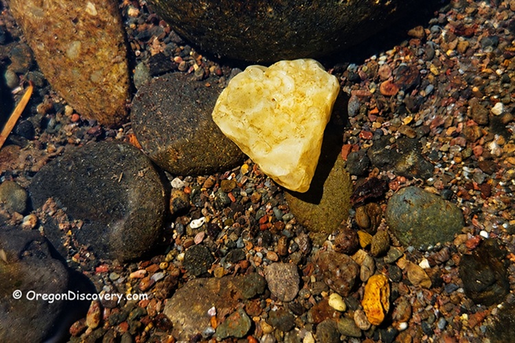 Thomas Creek Rockhounding in Oregon: The picture "yellow agate underwater" features a heart-shaped yellow agate stone resting among darker, rounded rocks and multi-colored gravel on the creek bed, all visible through clear water.