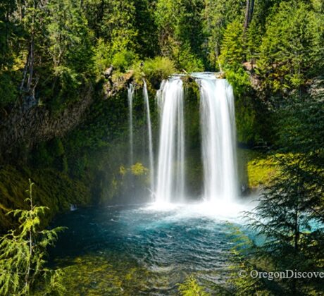 Koosah Falls in Oregon: The picture "Koosah Falls waterfall wide view" shows a stunning, double-plume waterfall pouring over a mossy cliff into a deep blue pool, surrounded by lush green forest and bright sunlight.