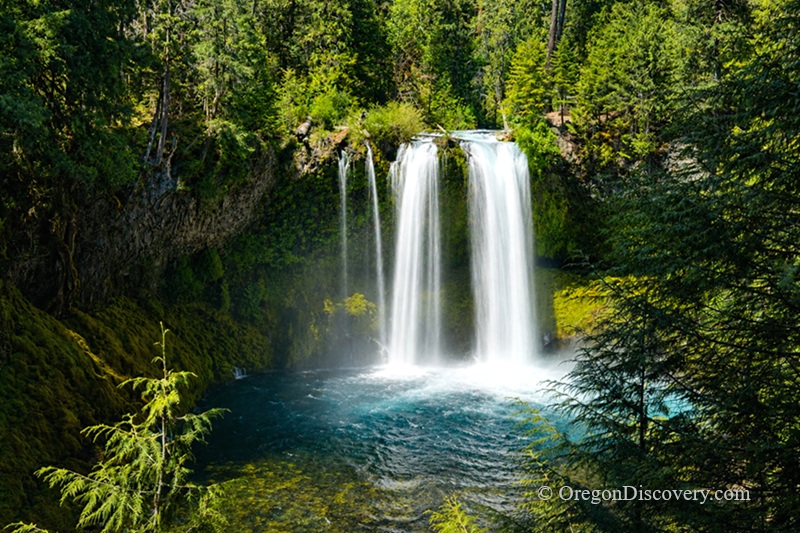 Koosah Falls in Oregon: The picture "Koosah Falls waterfall wide view" shows a stunning, double-plume waterfall pouring over a mossy cliff into a deep blue pool, surrounded by lush green forest and bright sunlight.