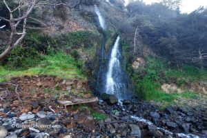 Larson Creek Falls on Short Beach, Oregon Coast: The picture "waterfall close-up with mossy cliff" shows a tall, narrow waterfall cascading down a moss-covered cliff, surrounded by green vegetation and rocky debris at the base.