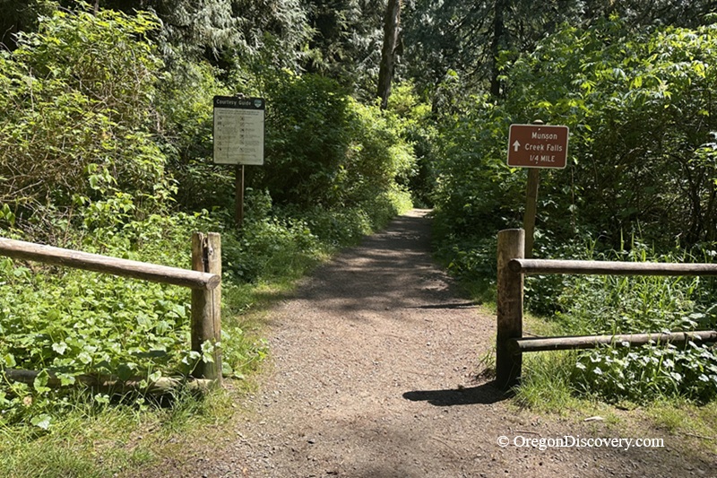 Munson Creek Falls State Natural Site in Oregon: The picture "Munson Creek Falls trailhead signs" displays a wide dirt path at the start of the trail, flanked by wooden rails and green vegetation, with brown and white trailhead signs indicating Munson Creek Falls is a quarter mile ahead.