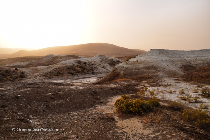 Rockville Rockhounding in Oregon: The picture "Rockville rockhounding site landscape" features a wide, arid vista of rolling hills and rugged terrain with patches of dry grasses and brush, bathed in golden light under a hazy sky.