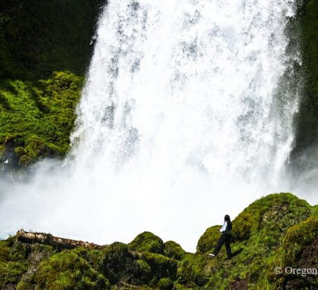 Sahalie Falls in Oregon: The picture "Sahalie Falls up close with person for scale" shows a powerful white waterfall crashing down a mossy green cliff, while a person stands on rocks near the misty base, highlighting the impressive size of the falls.
