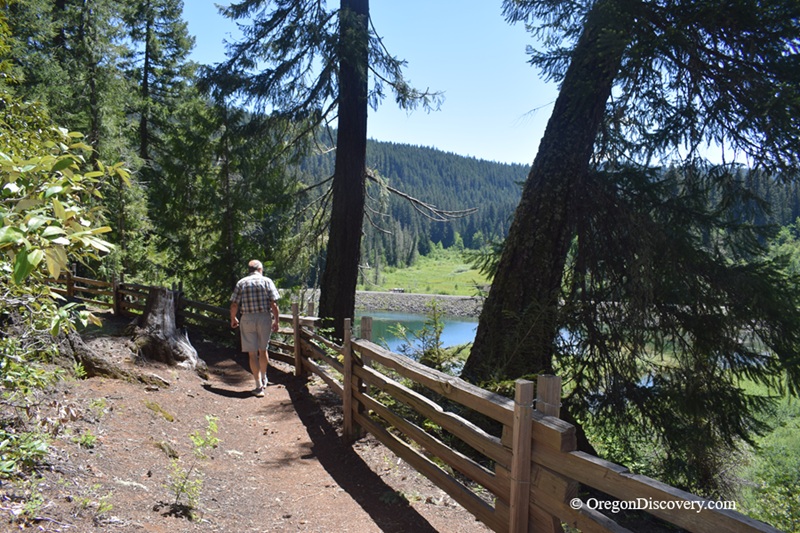 Ice Cap Campground and Day Use in Oregon: The picture "Ice Cap Campground lakeside trail" shows a person walking along a dirt path lined by a wooden fence, winding through tall evergreens with a view of the reservoir and wooded hillside in the background.