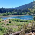Ice Cap Campground and Day Use in Oregon: The picture "Ice Cap Campground Blue River Reservoir view" features a scenic overlook of Blue River Reservoir, with clear blue water bordered by green shrubs and surrounded by densely forested hills under a bright blue sky.