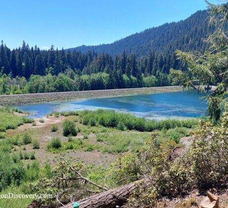 Ice Cap Campground and Day Use in Oregon: The picture "Ice Cap Campground Blue River Reservoir view" features a scenic overlook of Blue River Reservoir, with clear blue water bordered by green shrubs and surrounded by densely forested hills under a bright blue sky.