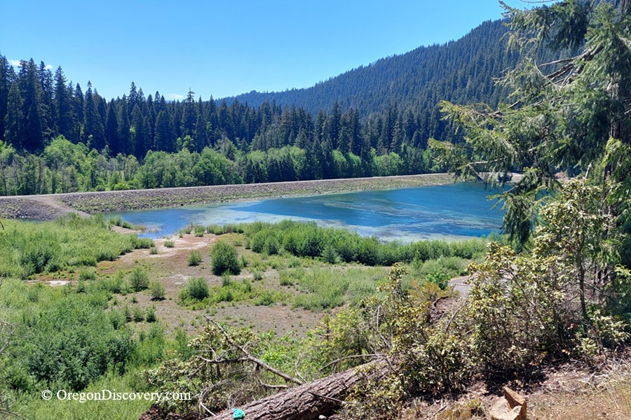 Ice Cap Campground and Day Use in Oregon: The picture "Ice Cap Campground Blue River Reservoir view" features a scenic overlook of Blue River Reservoir, with clear blue water bordered by green shrubs and surrounded by densely forested hills under a bright blue sky.
