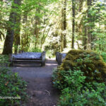 Paradise Campground and Day-Use in Oregon: The picture "Paradise Campground forest bench" features a shady woodland path leading to a rustic wooden bench and picnic table, nestled among lush green undergrowth and moss-covered rocks in the forest.