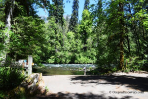 Paradise Campground and Day-Use in Oregon: The picture "Paradise Campground river access" shows a forested clearing leading down to a gently flowing river, surrounded by towering green trees, with a person standing at the riverbank enjoying the view.