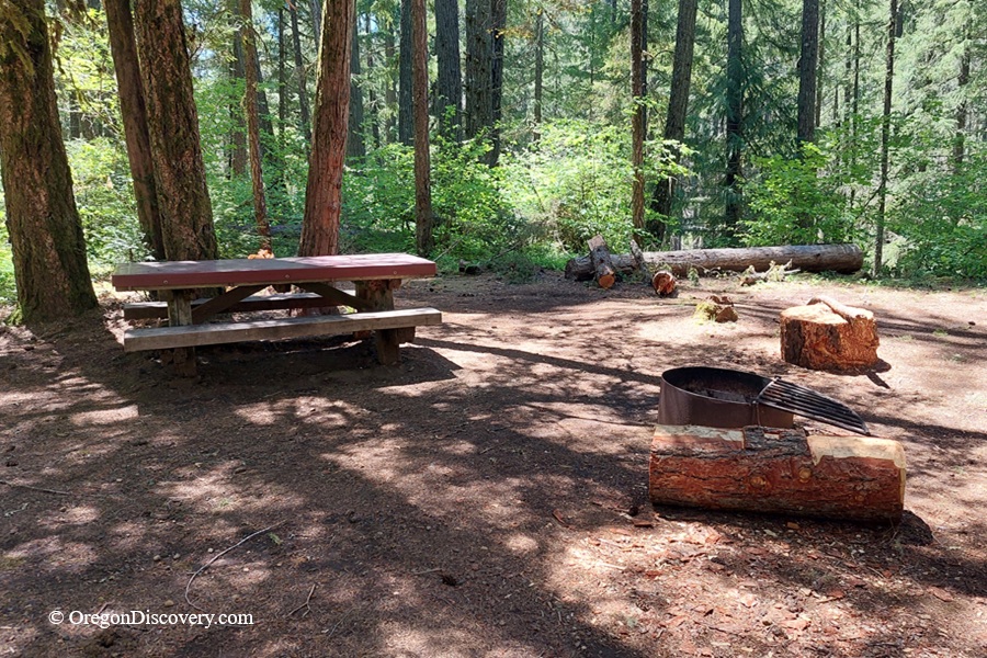 Ice Cap Campground and Day Use in Oregon: The picture "Ice Cap Campground forest picnic area" shows a shaded campsite with a wooden picnic table, a metal fire ring, and log seats, all surrounded by tall trees in a lush forest setting.