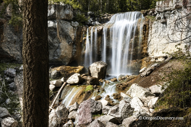 Paulina Falls in Oregon - Paulina Falls Lower View Paulina Falls in Oregon: The picture "Paulina Falls Lower View" shows a front-facing view of cascading twin waterfalls pouring over a rocky cliff into a boulder-strewn basin, framed by trees and forest.