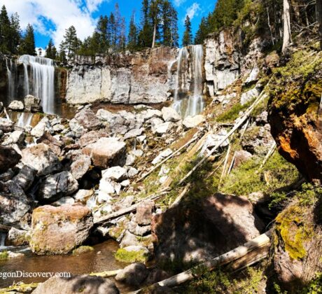 Paulina Falls in Oregon - Paulina Falls Base Paulina Falls in Oregon: The picture "Paulina Falls Base" presents a wide view of the waterfall base, with white water streaming down a tall cliff face amid a landscape of large rocks, logs, and green foliage.