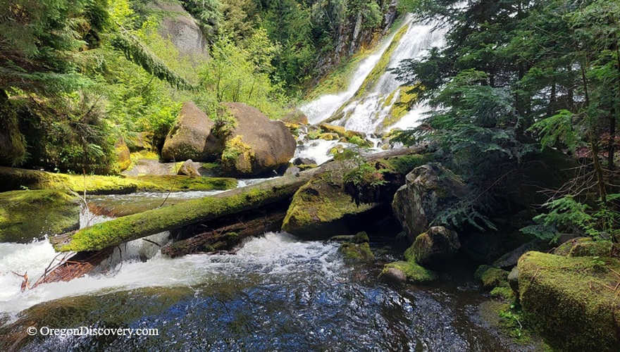 Diamond Creek Falls in Oregon: The picture "Diamond Creek Falls Lower Forest" captures part of the waterfall flowing among mossy boulders and fallen logs in a dense, green forest.