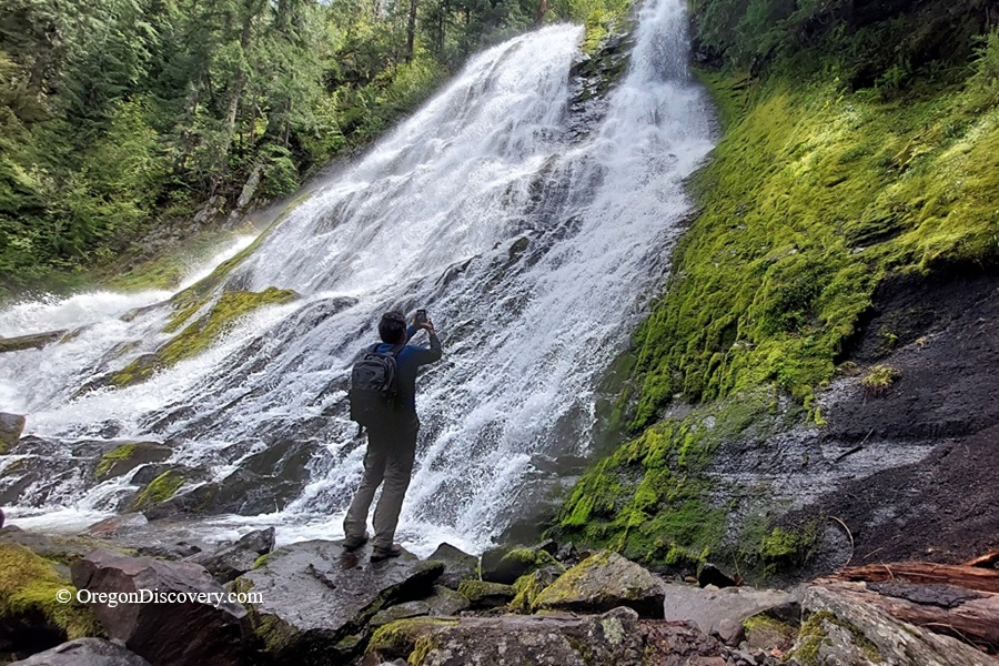Diamond Creek Falls in Oregon: The picture "Diamond Creek Falls Close-up" shows a person standing on rocks at the base of the tall, sloped waterfall, taking a photo of the water streaming over mossy rocks and the surrounding vibrant greenery.
