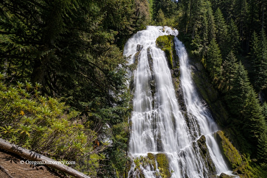 Diamond Creek Falls in Oregon: The picture "Diamond Creek Falls Upper View" features a wide, cascading waterfall tumbling down a rocky slope surrounded by lush green conifer trees and bushes.