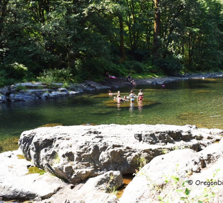 Jones Creek Day-Use Area and Campground in Oregon: The picture "Jones Creek River Rocks" features large gray rocks in the foreground with families wading and swimming in the shallow river, bordered by lush green trees along the banks.