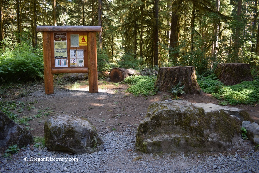 Butte Creek Falls Trail: Hiking to Upper & Lower Falls Oregon – Butte Creek Falls Trailhead Butte Creek Falls Trail: Hiking to Upper & Lower Falls Oregon – The picture "Butte Creek Falls Trailhead" shows a wooden information board at the start of the trail, surrounded by mossy rocks, large tree stumps, and dense green forest under a shady canopy.