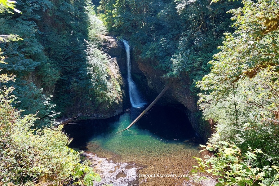 Lower Butte Creek Falls Oregon – Lower Butte Creek Falls Aerial View Lower Butte Creek Falls Oregon: The picture "Lower Butte Creek Falls Aerial View" presents a dramatic top-down view of the waterfall plunging into a deep, dark turquoise pool encircled by rocky cliffs and dense foliage, with a log spanning diagonally across the water.