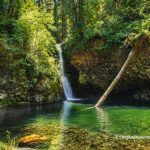 Lower Butte Creek Falls Oregon – Lower Butte Creek Falls Pool Lower Butte Creek Falls Oregon: The picture "Lower Butte Creek Falls Pool" shows a scenic waterfall dropping into a round, emerald-green pool surrounded by lush cliffs, with a large fallen tree leaning across the water and dense forest in the background.