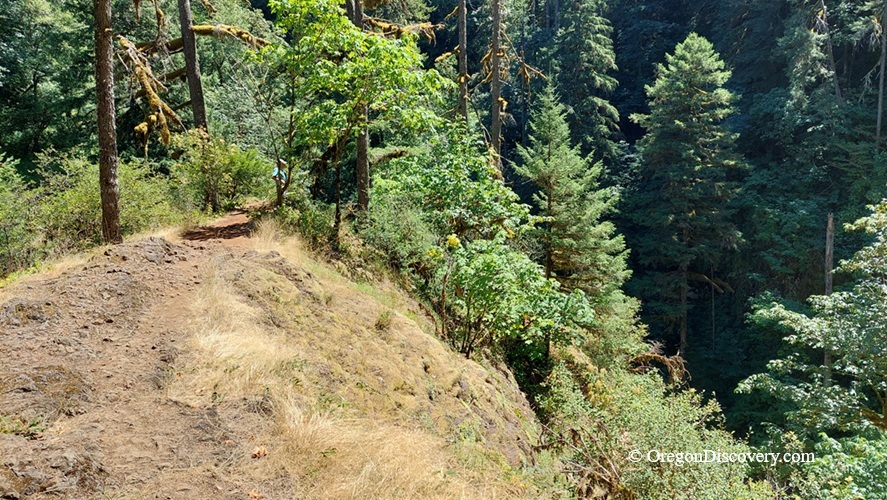 Lower Butte Creek Falls Oregon – Lower Butte Creek Falls Trail Edge Lower Butte Creek Falls Oregon: The picture "Lower Butte Creek Falls Trail Edge" displays a rocky trail winding along a steep, grassy hillside, bordered by tall trees and dramatic forested drop-offs leading down to the canyon below.