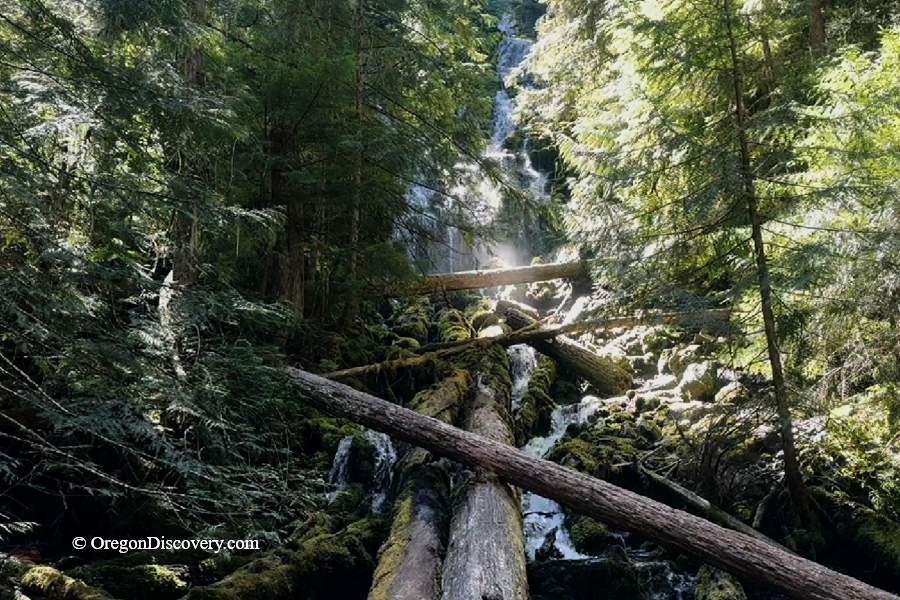 Upper Proxy Falls in Oregon: The Waterfall That Disappears Into Lava – Proxy Falls Mossy Cascade Proxy Falls in Oregon: The Waterfall That Disappears Into Lava – The picture "Proxy Falls Mossy Cascade" is a close view of the waterfall streaming down a rocky, moss-covered slope with sunbeams shining through the forest canopy and logs crossing the flowing water.