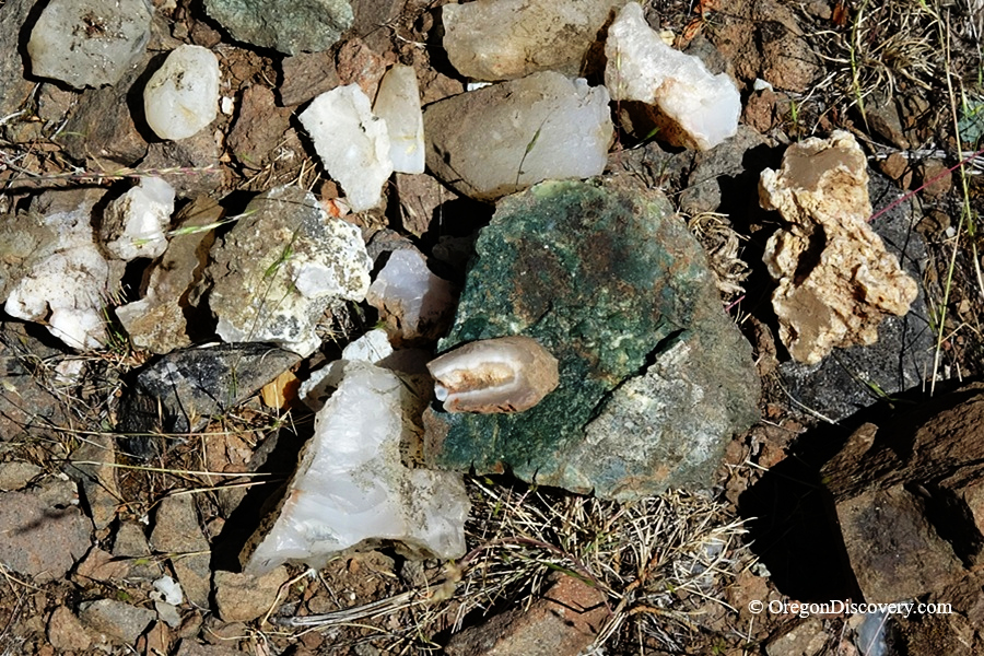 Rooster Rock Rockhounding in Oregon – Rooster Rock Jasper and Agate FindsRooster Rock Rockhounding in Oregon – The picture "Rooster Rock Jasper and Agate Finds" displays a collection of rough jasper and agate stones of various colors and textures, scattered on rocky ground with dry grass.