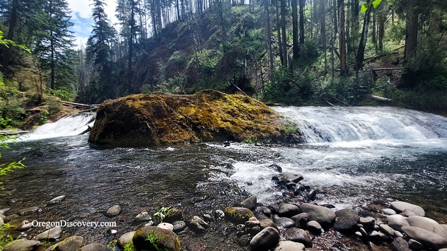 Salmon Creek Falls Oregon – Salmon Creek Falls Wide View Salmon Creek Falls Oregon: The picture "Salmon Creek Falls Wide View" features the waterfall cascading around a large, moss-covered boulder in the stream, set within a dense forest under partly shaded daylight.