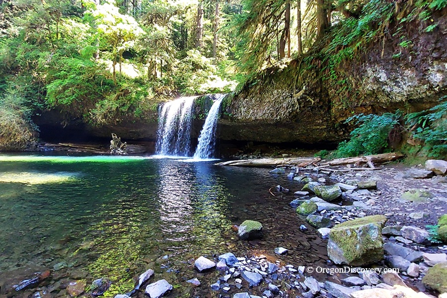 Upper Butte Creek Falls Oregon – Upper Butte Creek Falls Pool and Trail Upper Butte Creek Falls Oregon: The picture "Upper Butte Creek Falls Pool and Trail" displays the waterfall plunging over a basalt ledge into a clear green pool, surrounded by rocks, logs, and a trail along the shoreline amidst dense, sunlit forest.