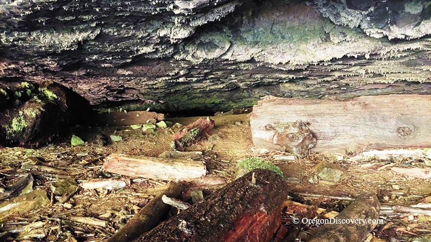 Upper Butte Creek Falls Oregon – Upper Butte Creek Falls Cave Upper Butte Creek Falls Oregon: The picture "Upper Butte Creek Falls Cave" features the ground and low rocky ceiling of a shallow cave or alcove near the falls, with mossy logs, stones, and earthy debris scattered under the ledge.